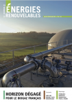 2020 N250 T1 - 2020/1 - Horizon dégagé pour le biogaz français vignette