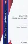 Droit et coupe du monde vignette